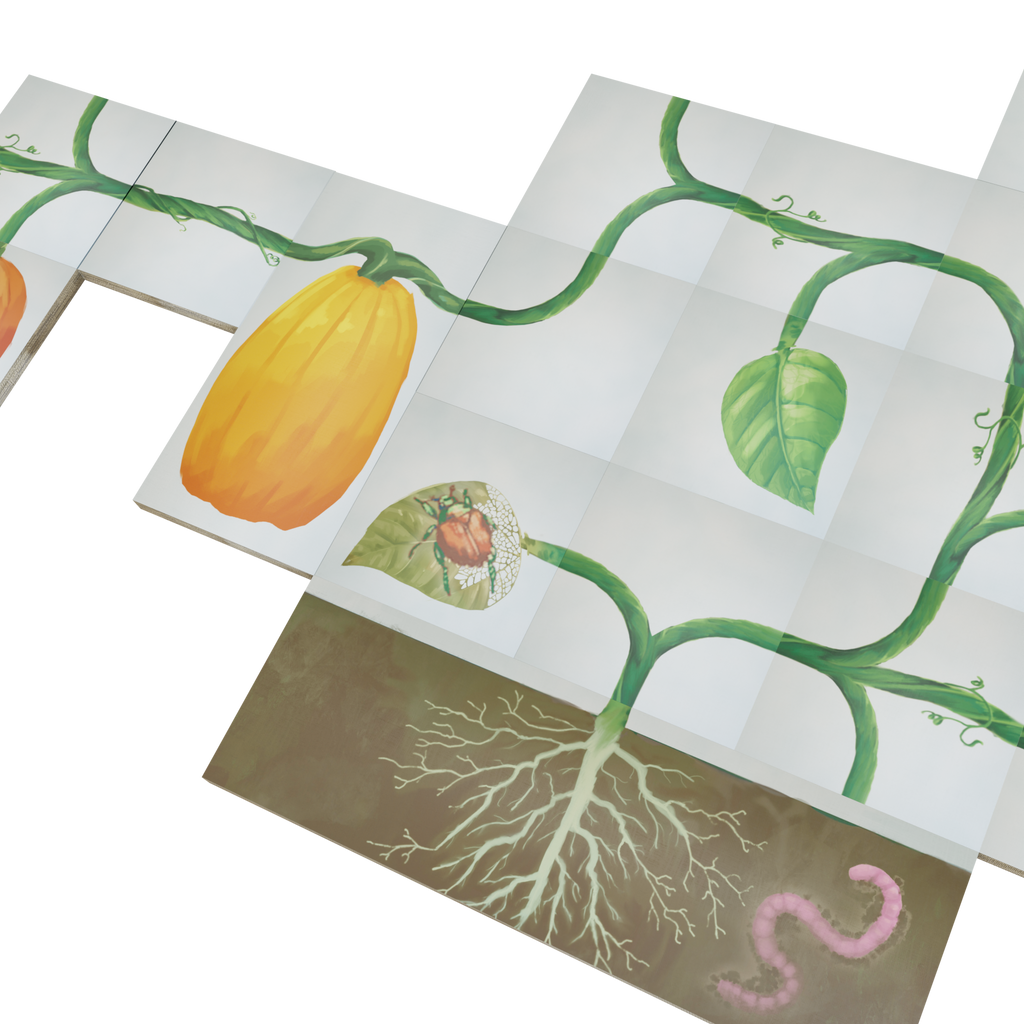 Pumpkins &amp; Beetles: A Vine Expansion (Standard) image 3
