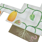 Pumpkins &amp; Beetles: A Vine Expansion (Standard) image 3