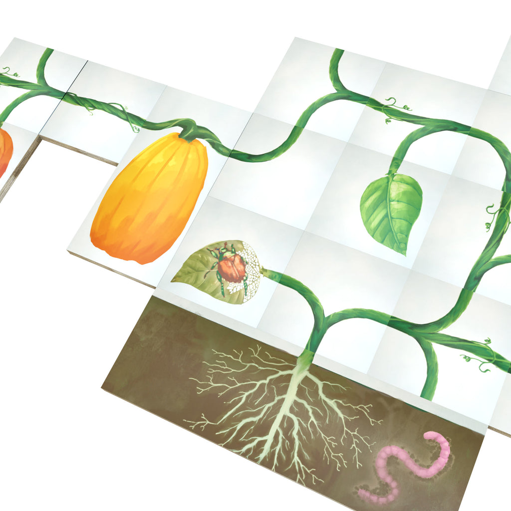 Vine Base + Expansion (Deluxe) image 6