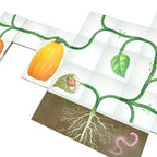 Vine Base + Expansion (Deluxe) image 6