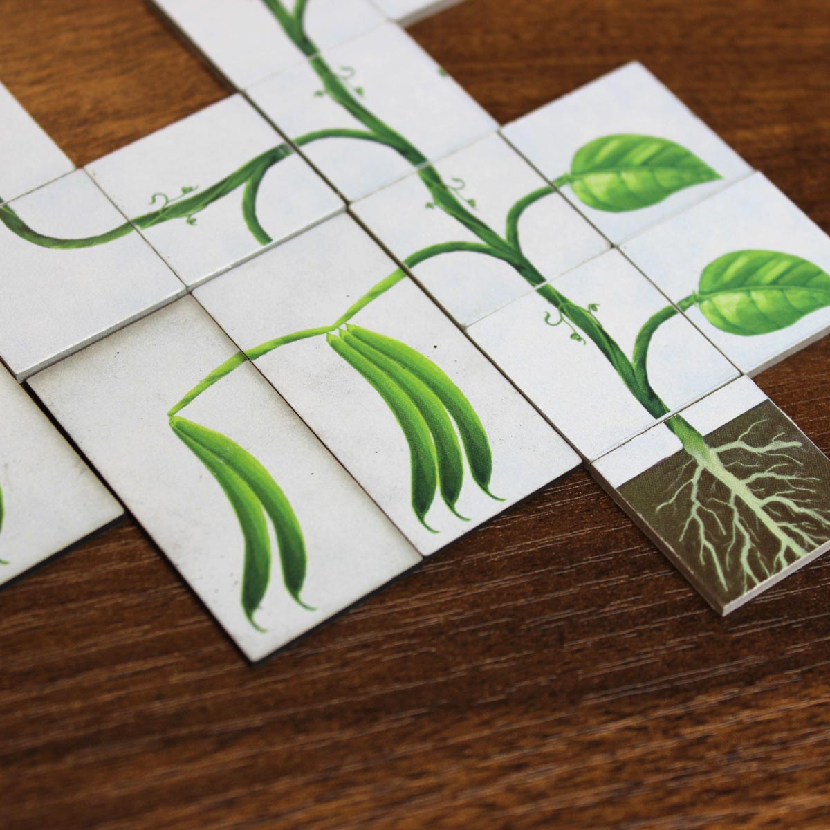 Vine Base + Expansion (Deluxe) image 1
