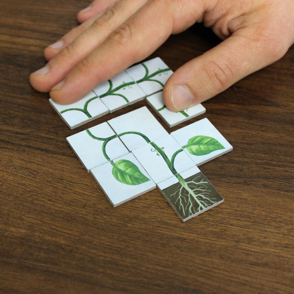Vine Base Game (Standard) image 6