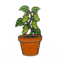 Vine Green Bean Enamel Pin